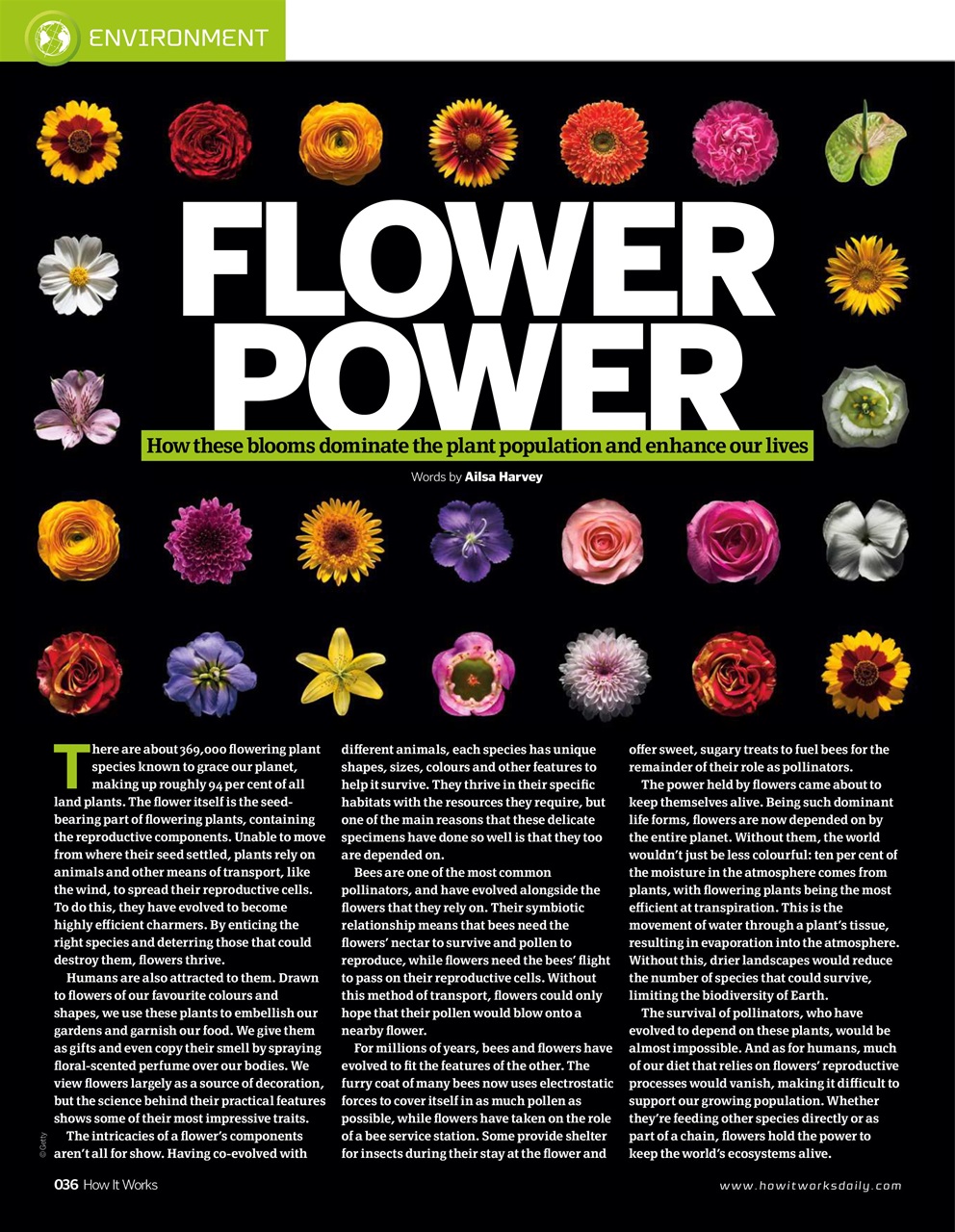 How It Works Preview Pages