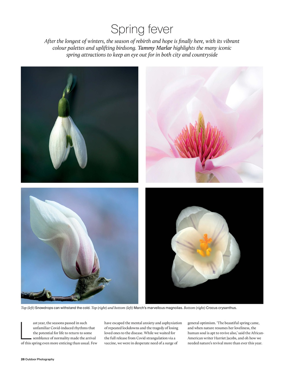 Outdoor Photography Preview Pages