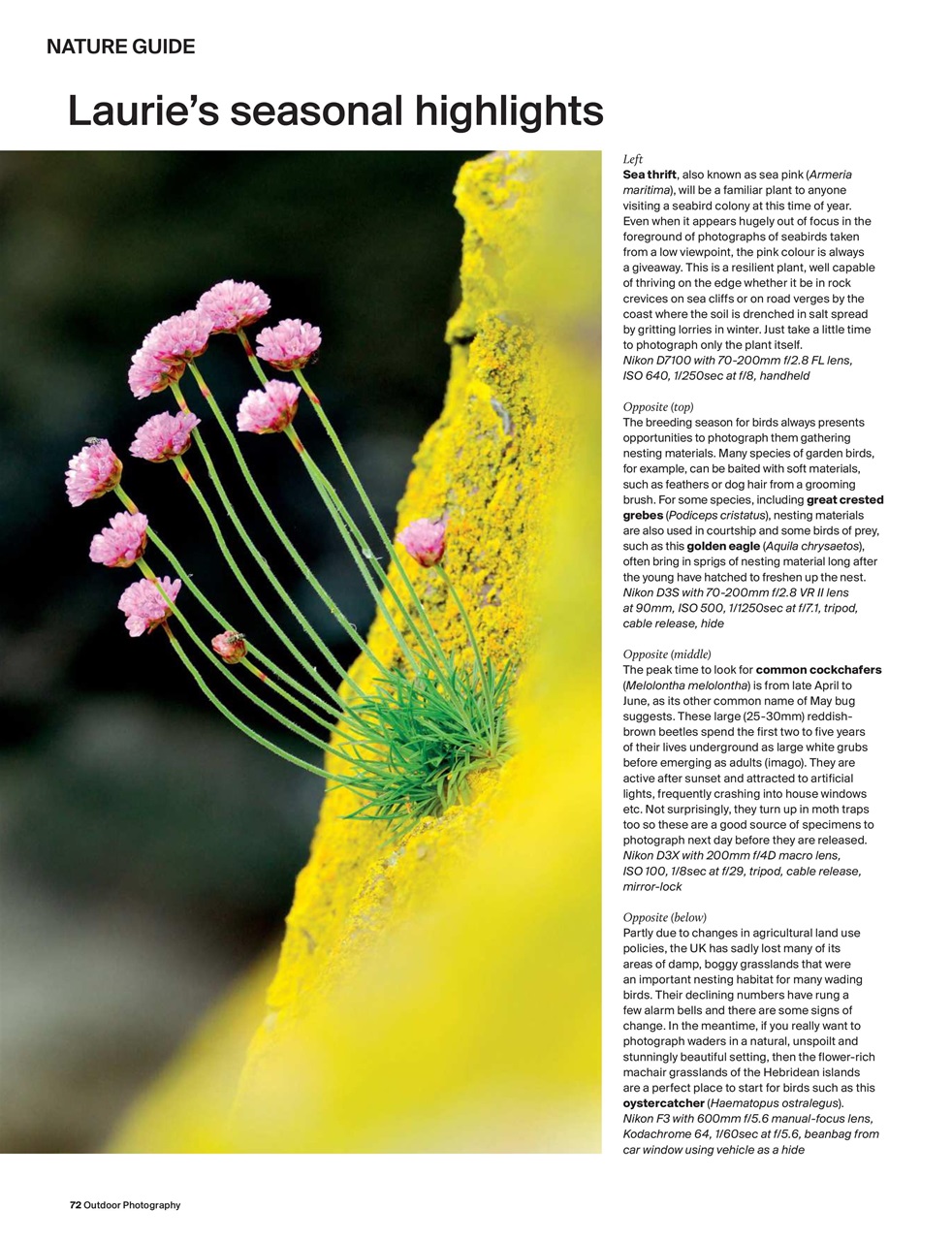 Outdoor Photography Preview Pages