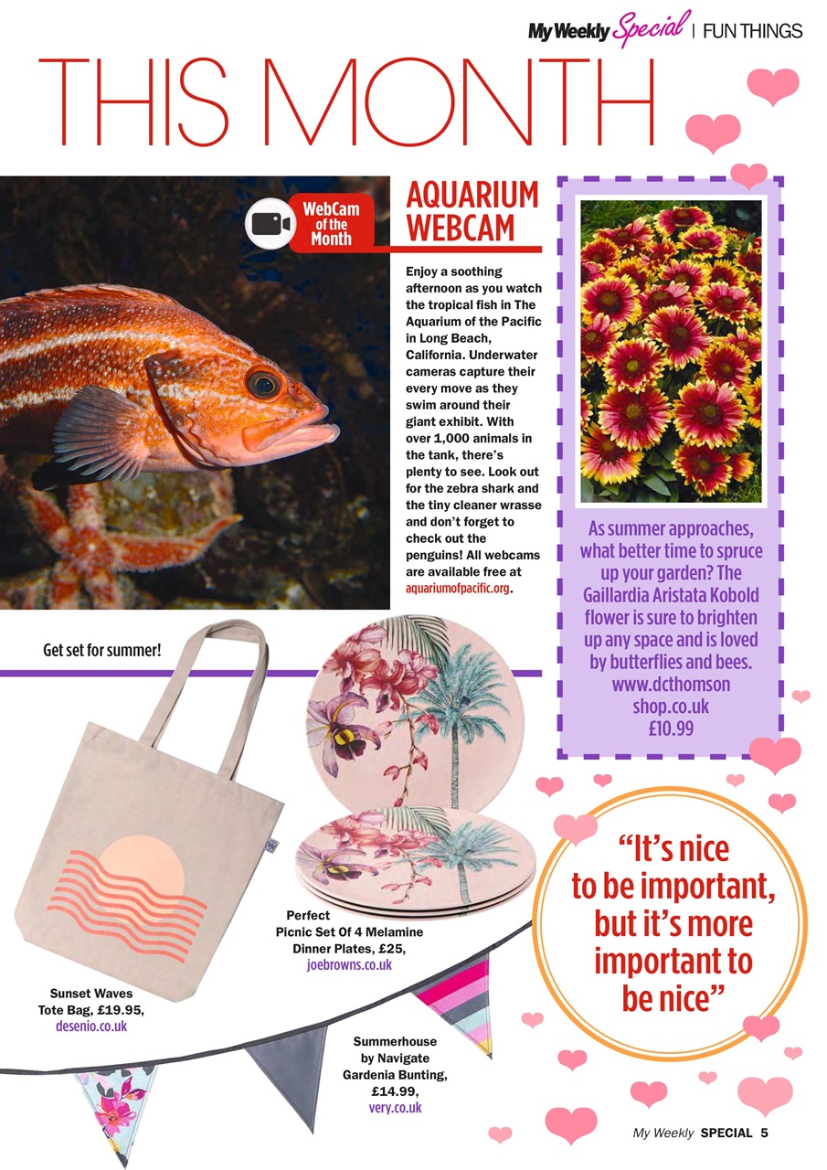 My Weekly Special Preview Pages