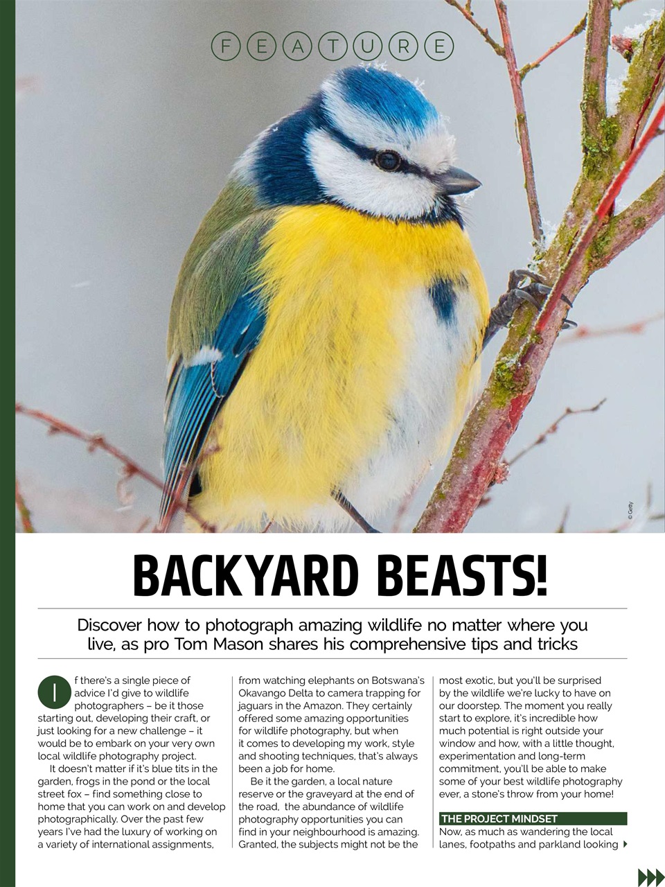 Photography Week Preview Pages