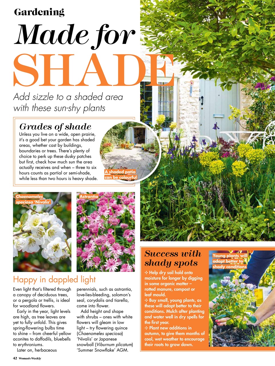 Woman's Weekly Preview Pages