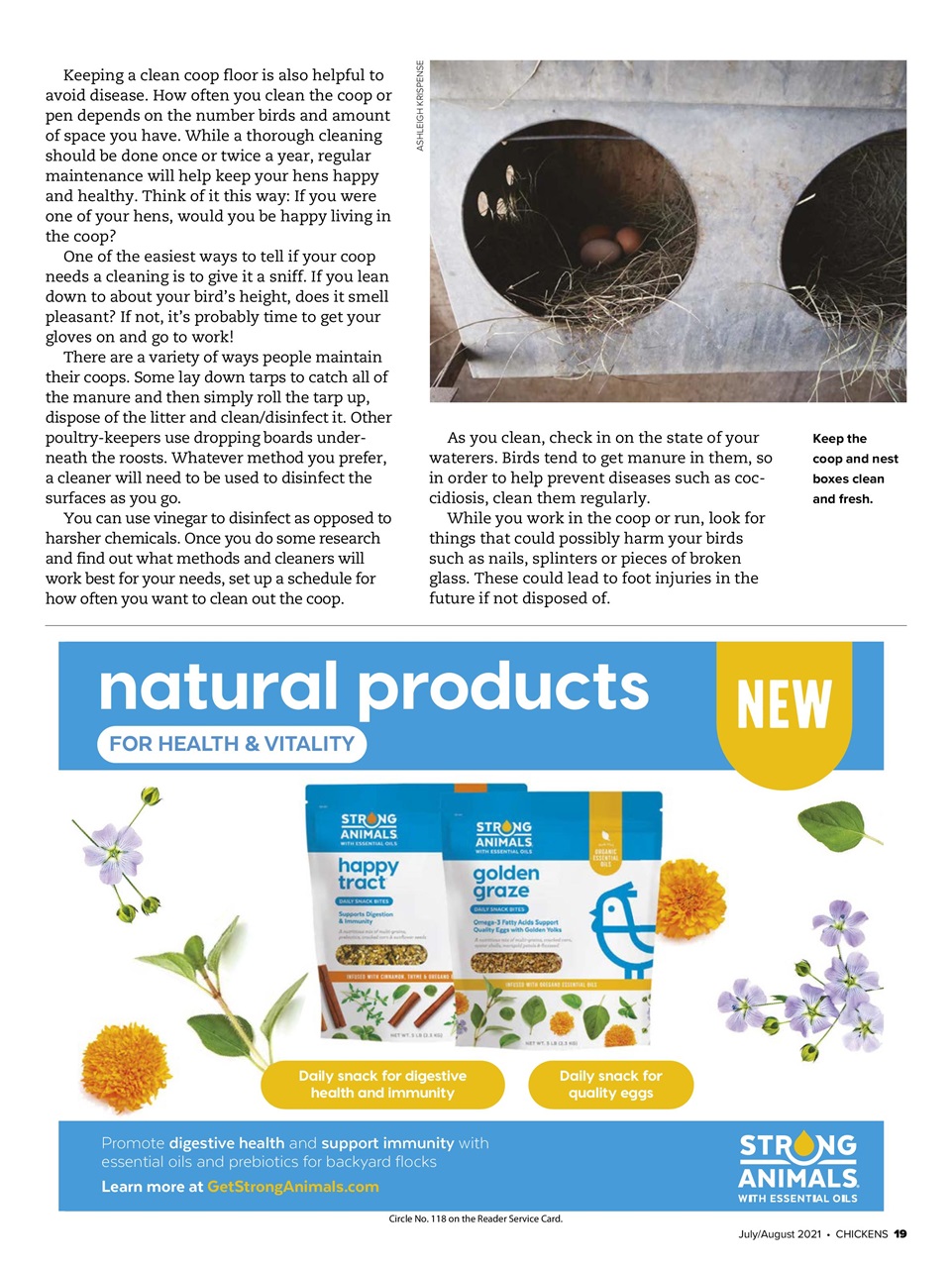 Chickens Magazine Preview Pages