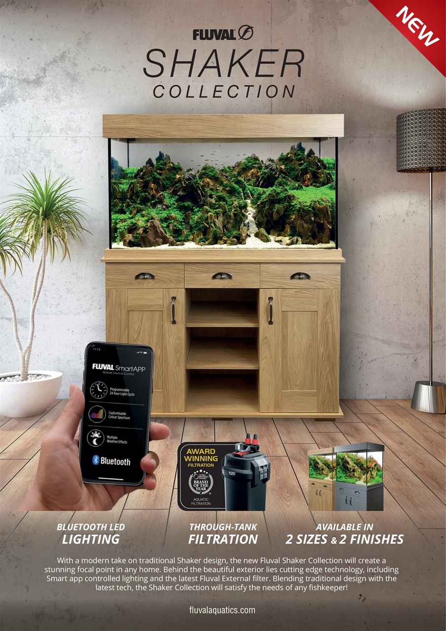 Practical Fishkeeping Preview Pages