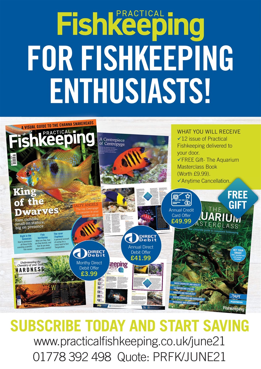 Practical Fishkeeping Preview Pages