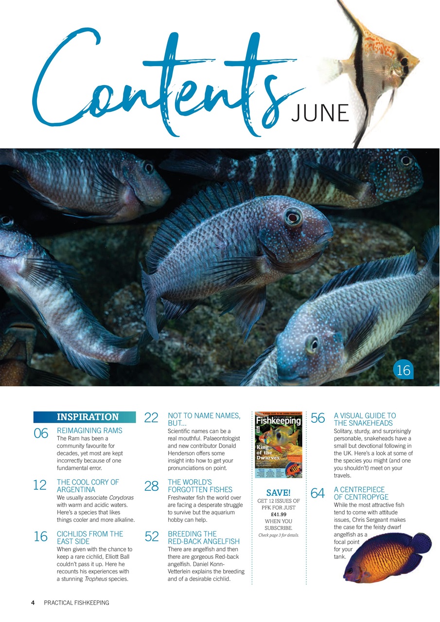 Practical Fishkeeping Preview Pages