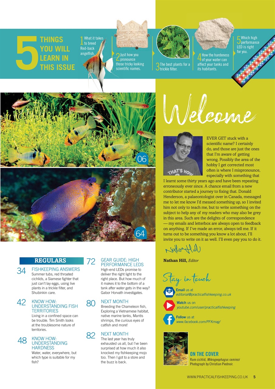 Practical Fishkeeping Preview Pages