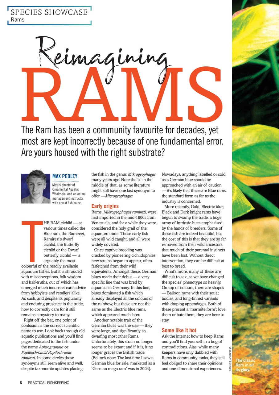 Practical Fishkeeping Preview Pages