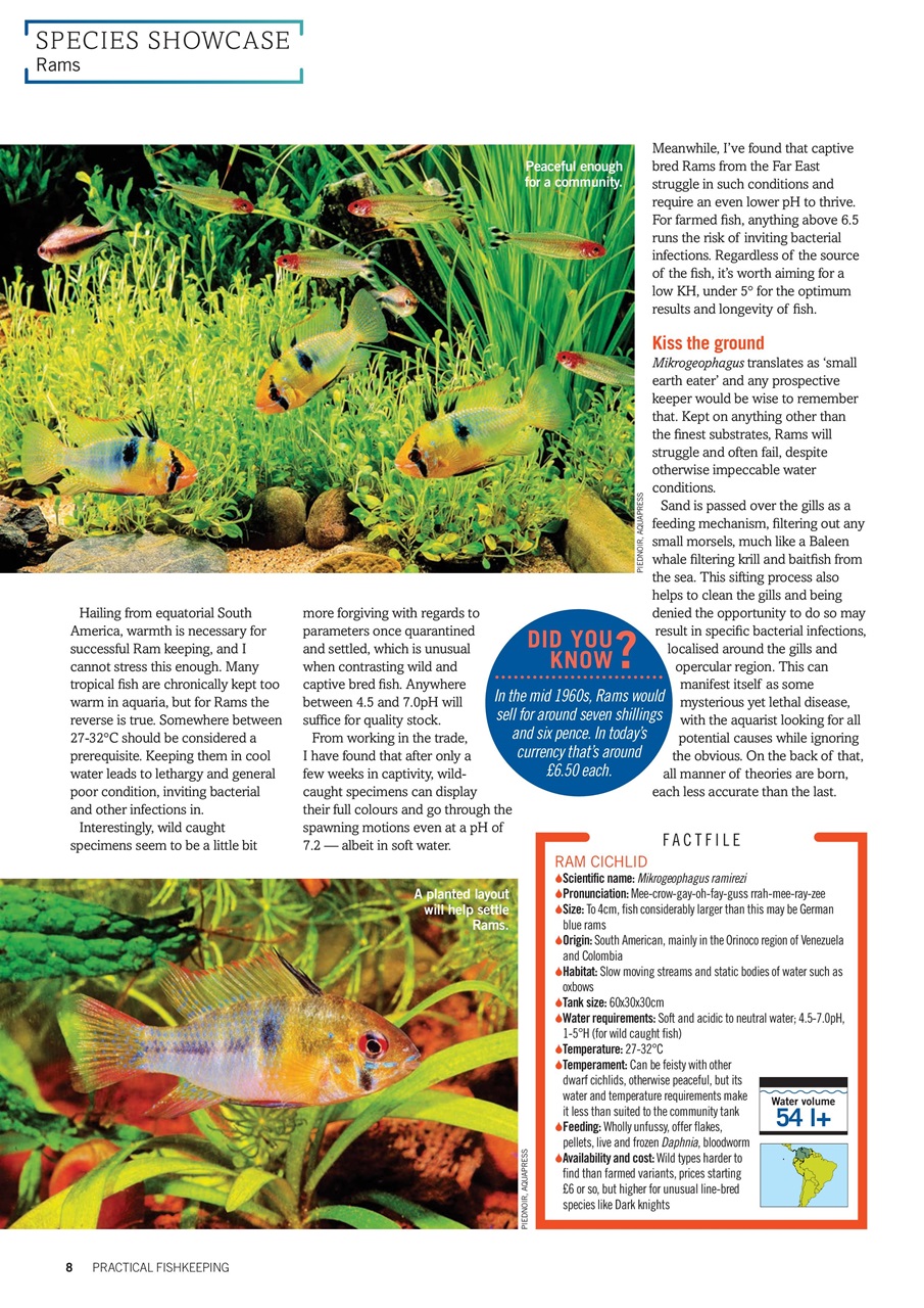 Practical Fishkeeping Preview Pages