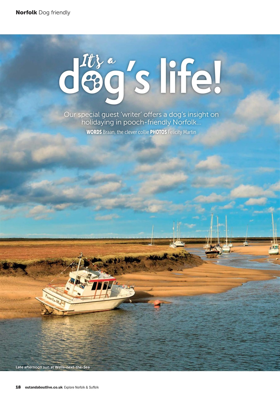 Caravan Magazine Preview Pages