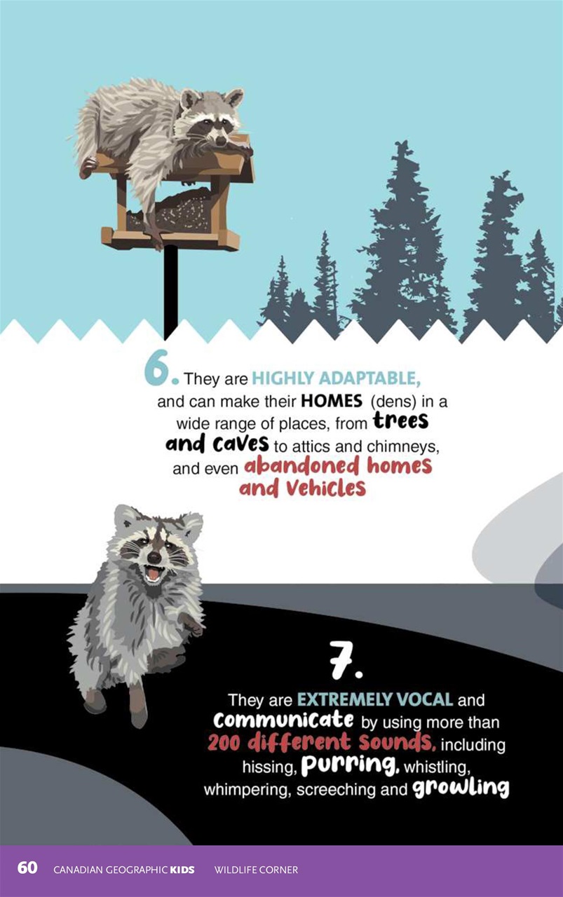 Canadian Geographic Preview Pages