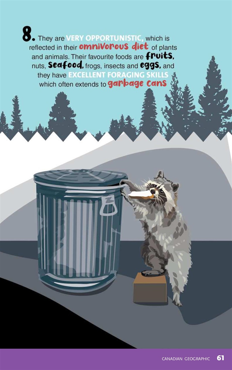 Canadian Geographic Preview Pages