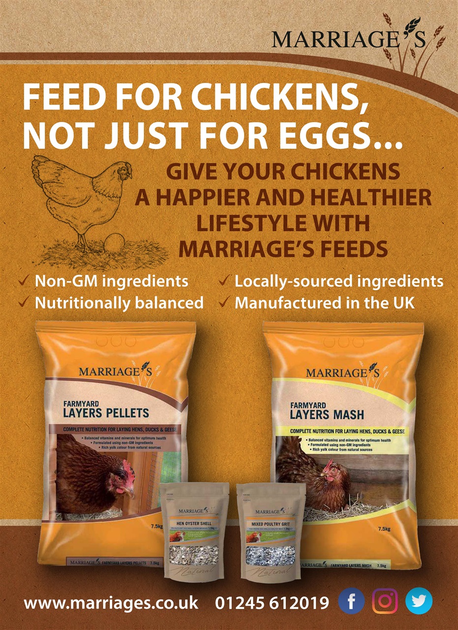 The Smallholder Preview Pages