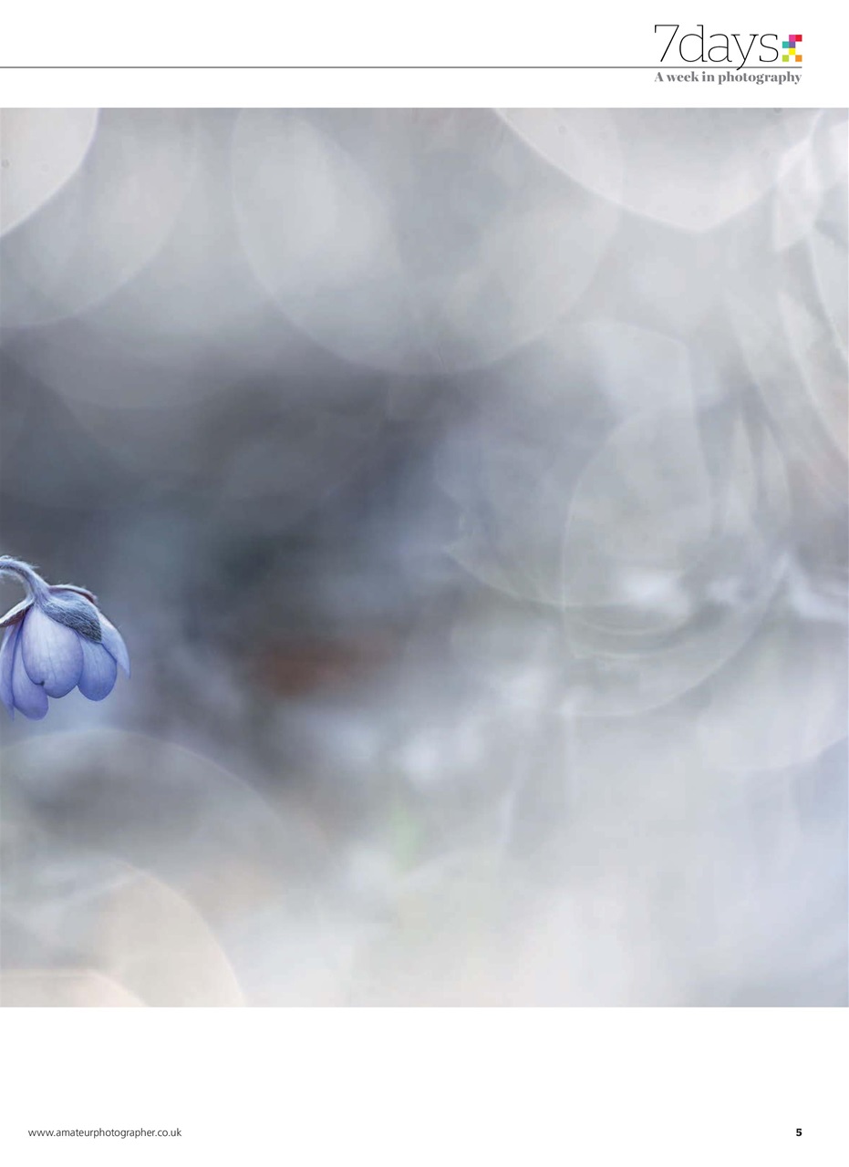 Amateur Photographer Preview Pages