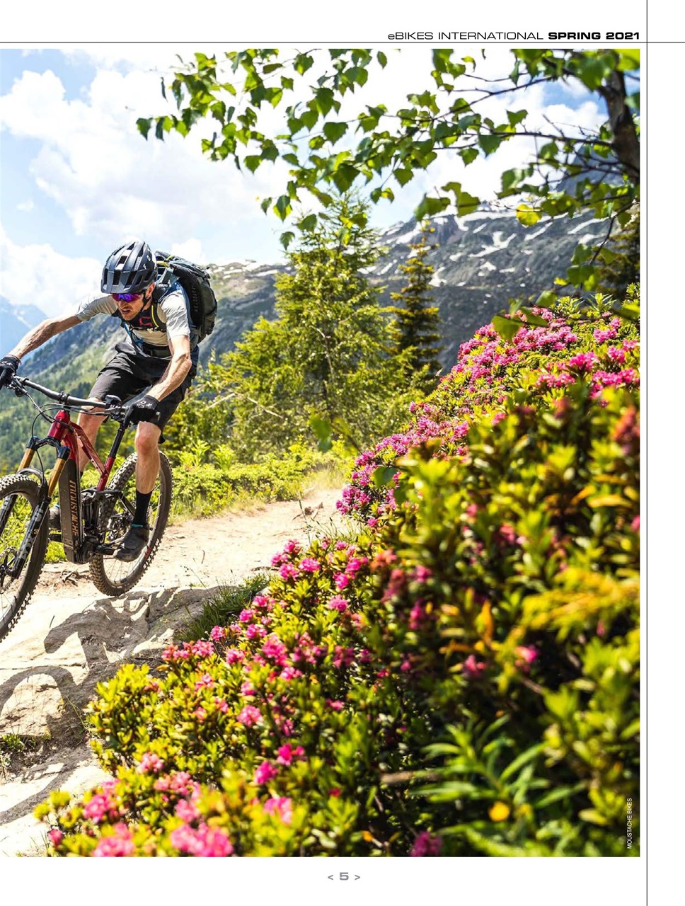 eBikes International Preview Pages