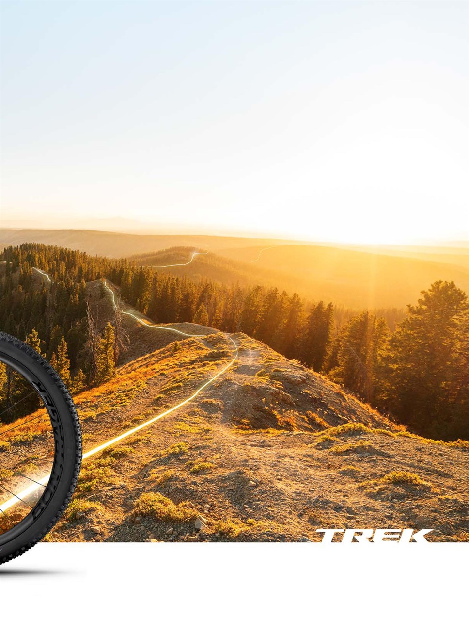 eBikes International Preview Pages