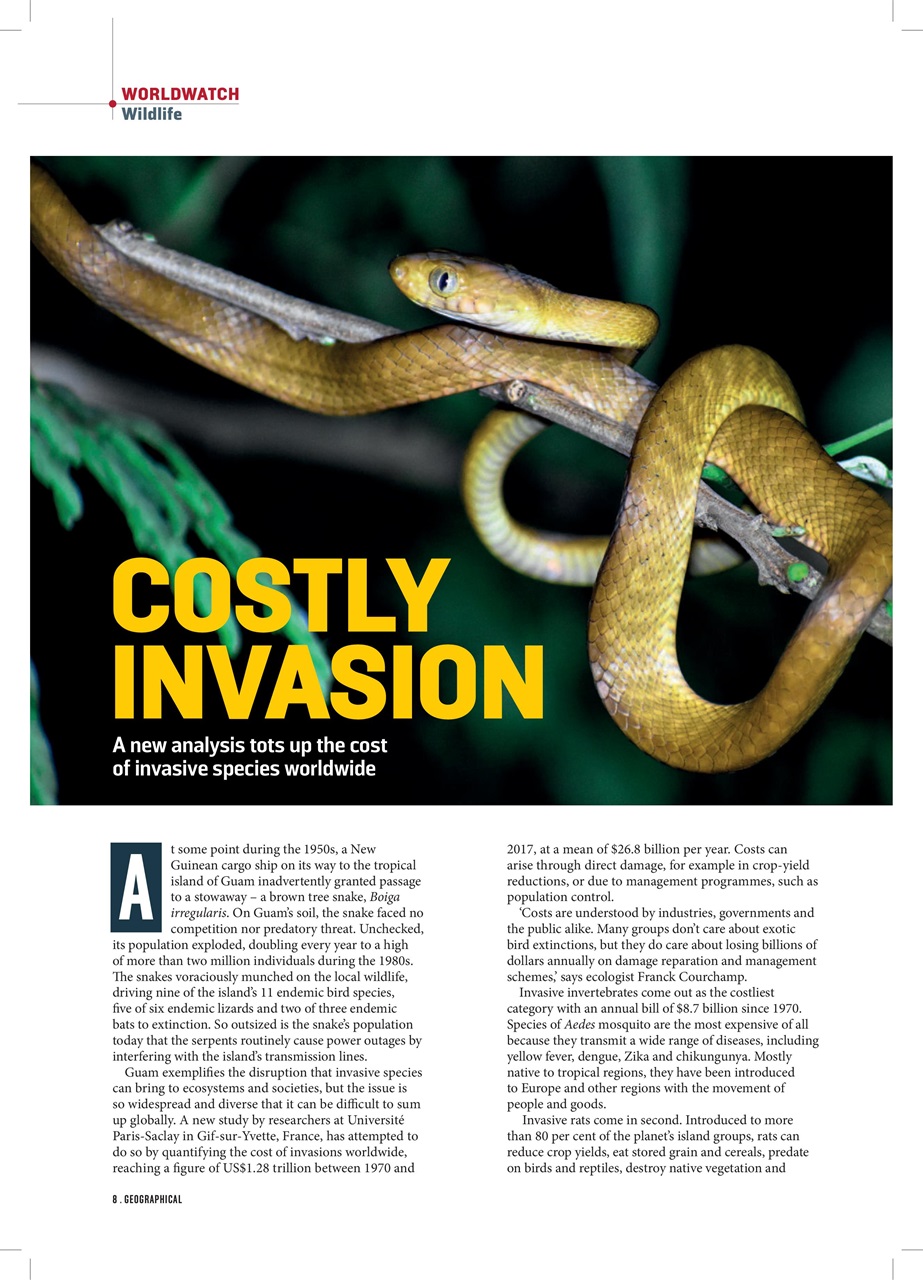 Geographical Preview Pages