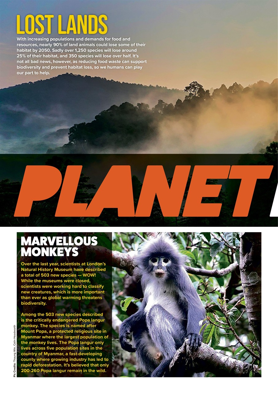 Animal Planet Kids Preview Pages