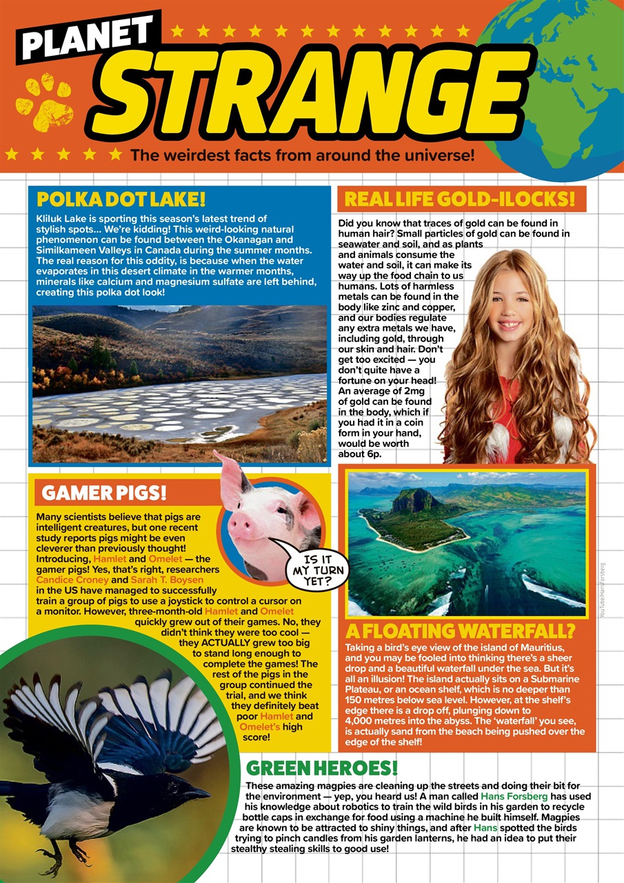 Animal Planet Kids Preview Pages