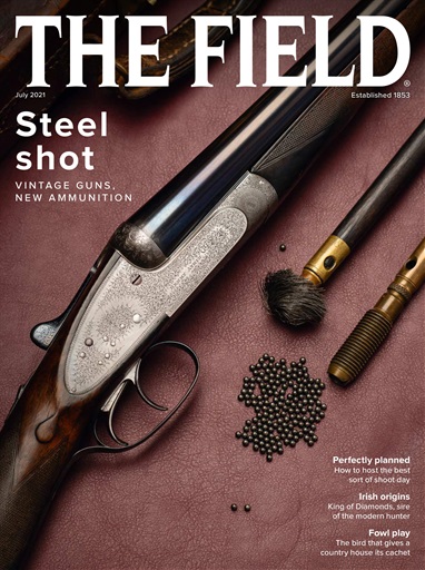 The Field issue 