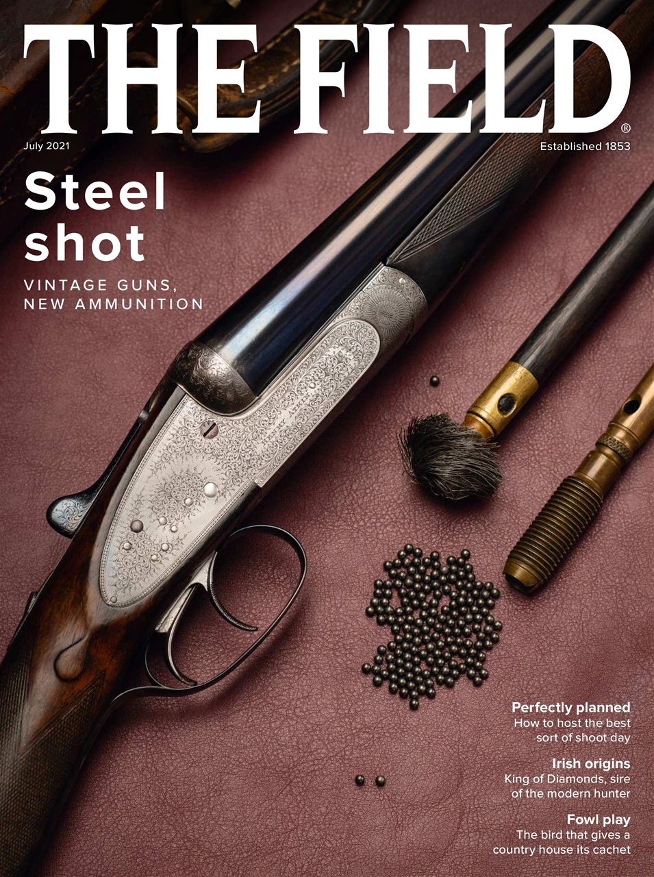The Field Preview Pages