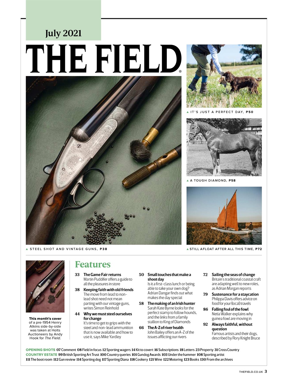 The Field Preview Pages