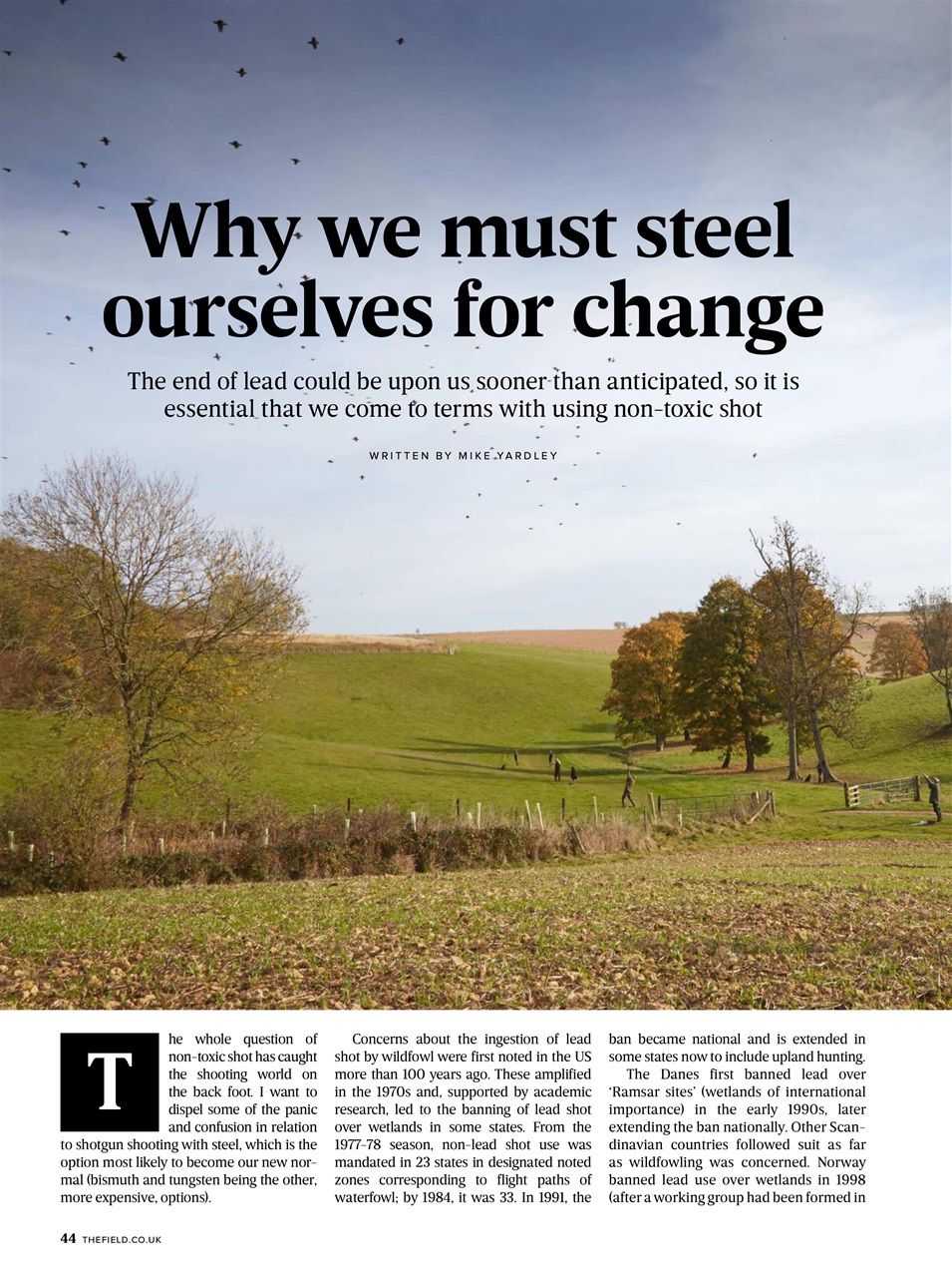 The Field Preview Pages