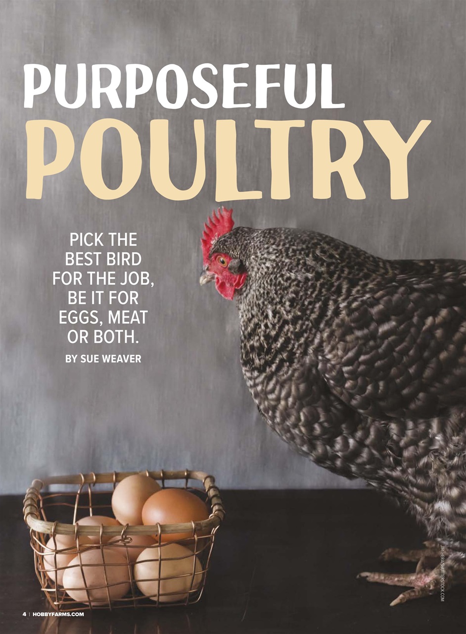 Hobby Farms Magazine Preview Pages