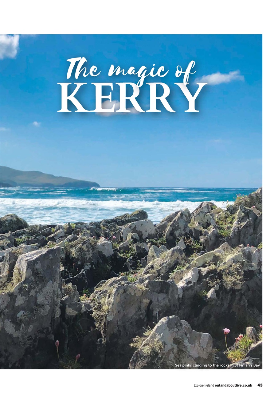 Campervan Preview Pages