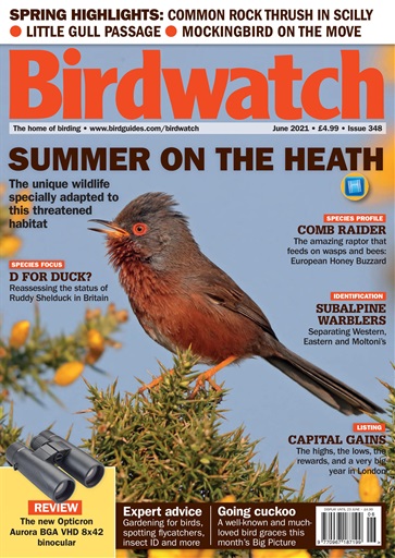 Birdwatch Magazine issue 