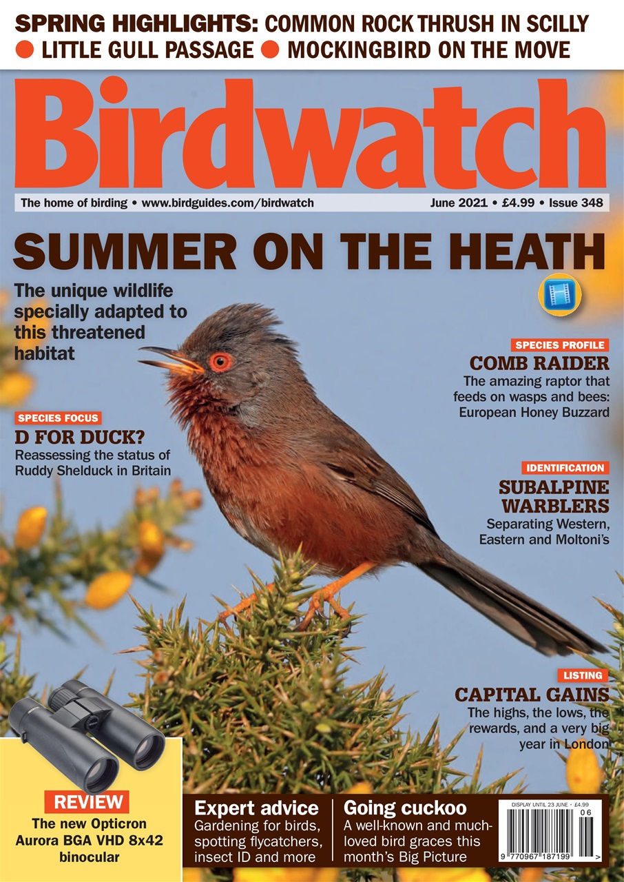 Birdwatch Magazine Preview Pages