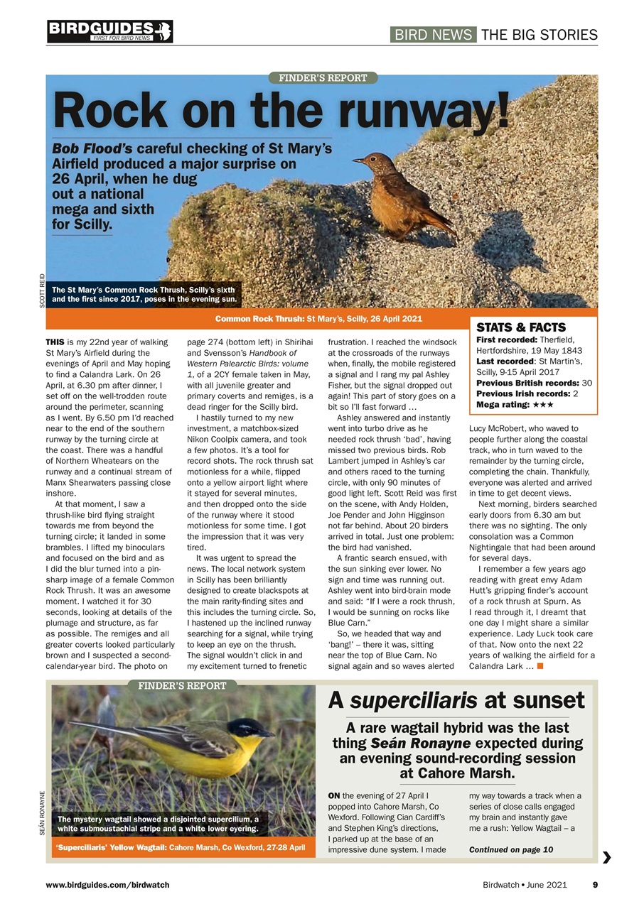 Birdwatch Magazine Preview Pages