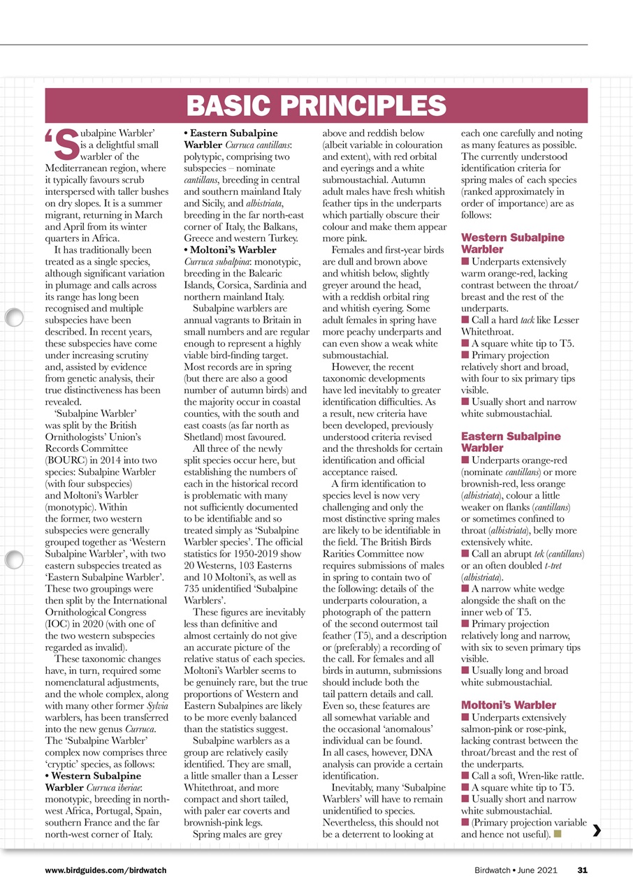 Birdwatch Magazine Preview Pages