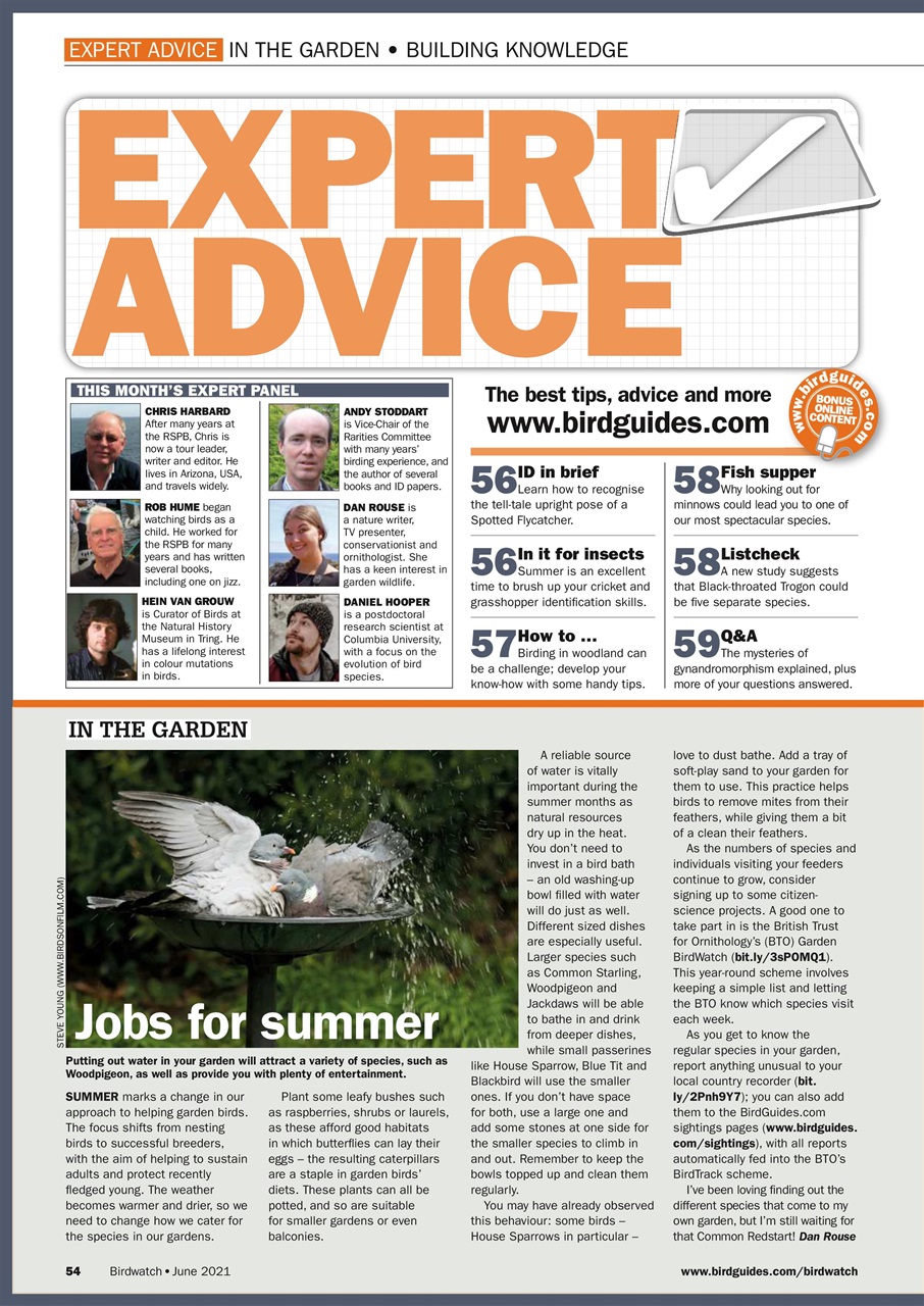 Birdwatch Magazine Preview Pages