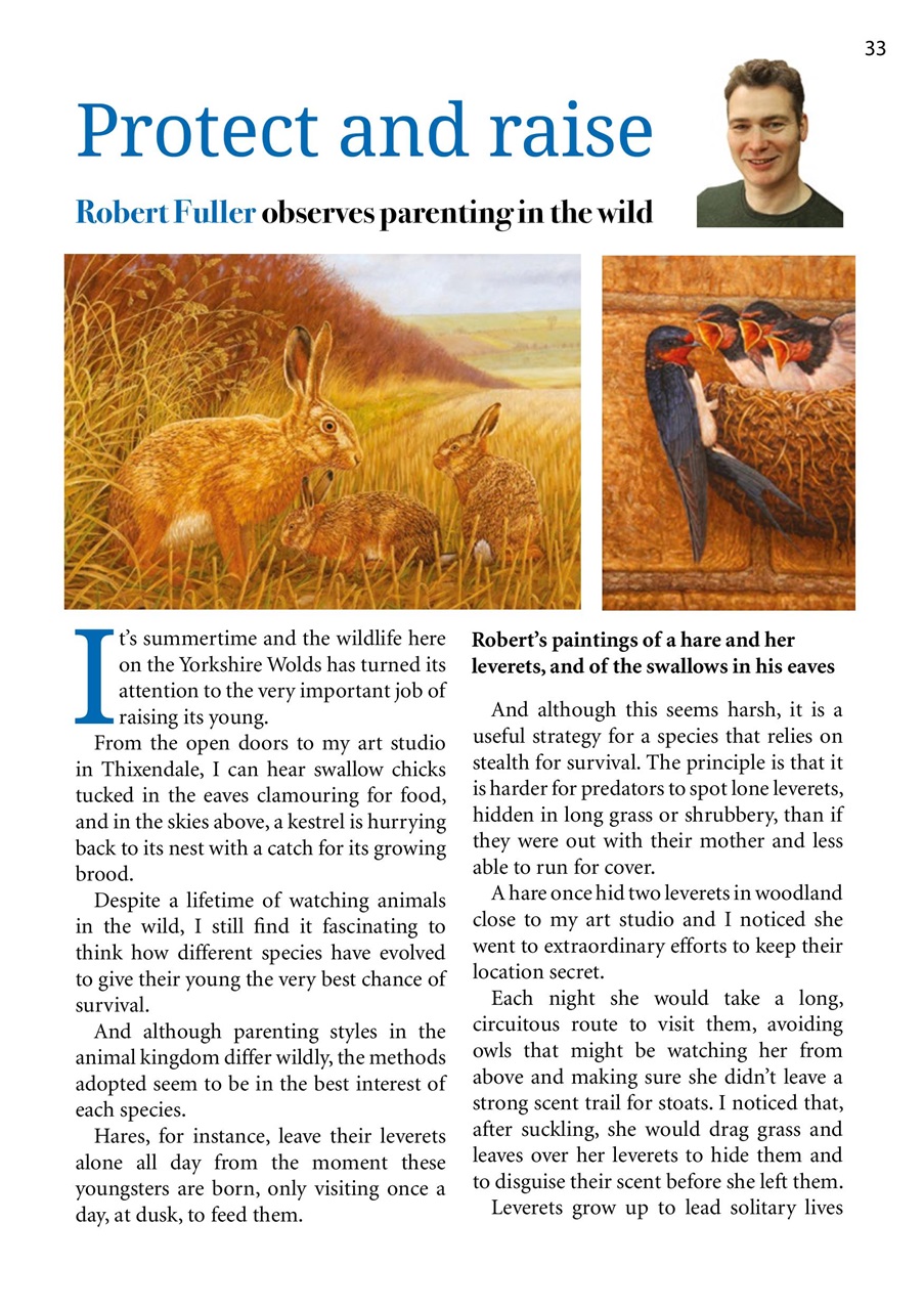 The Yorkshire Dalesman Preview Pages