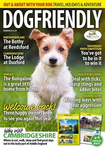 Dog Friendly issue May-Jun 21