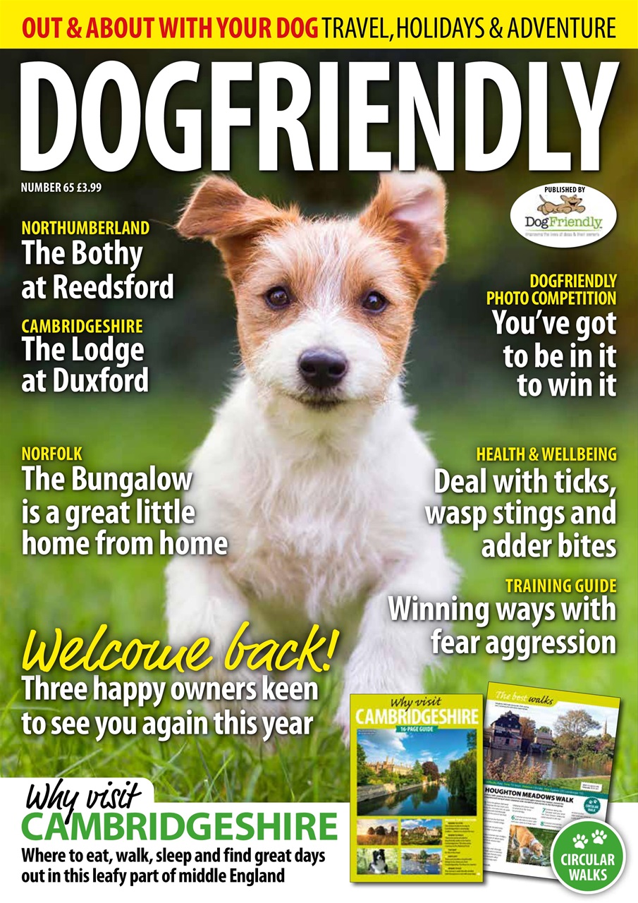 Dog Friendly Preview Pages