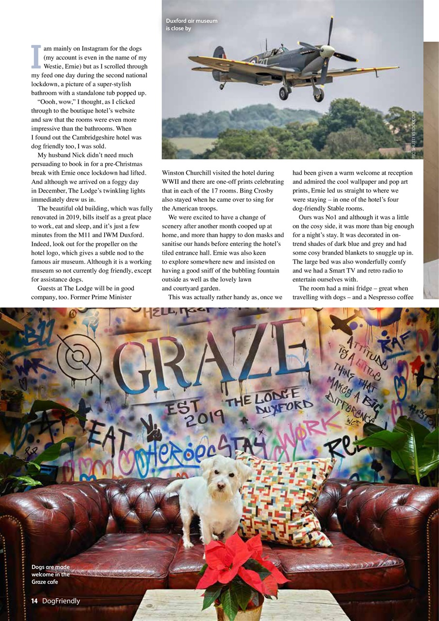 Dog Friendly Preview Pages