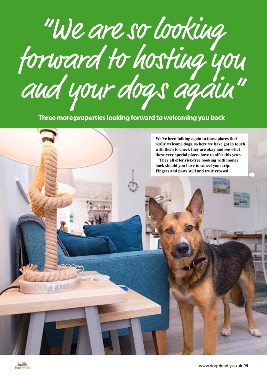 Dog Friendly Preview Pages