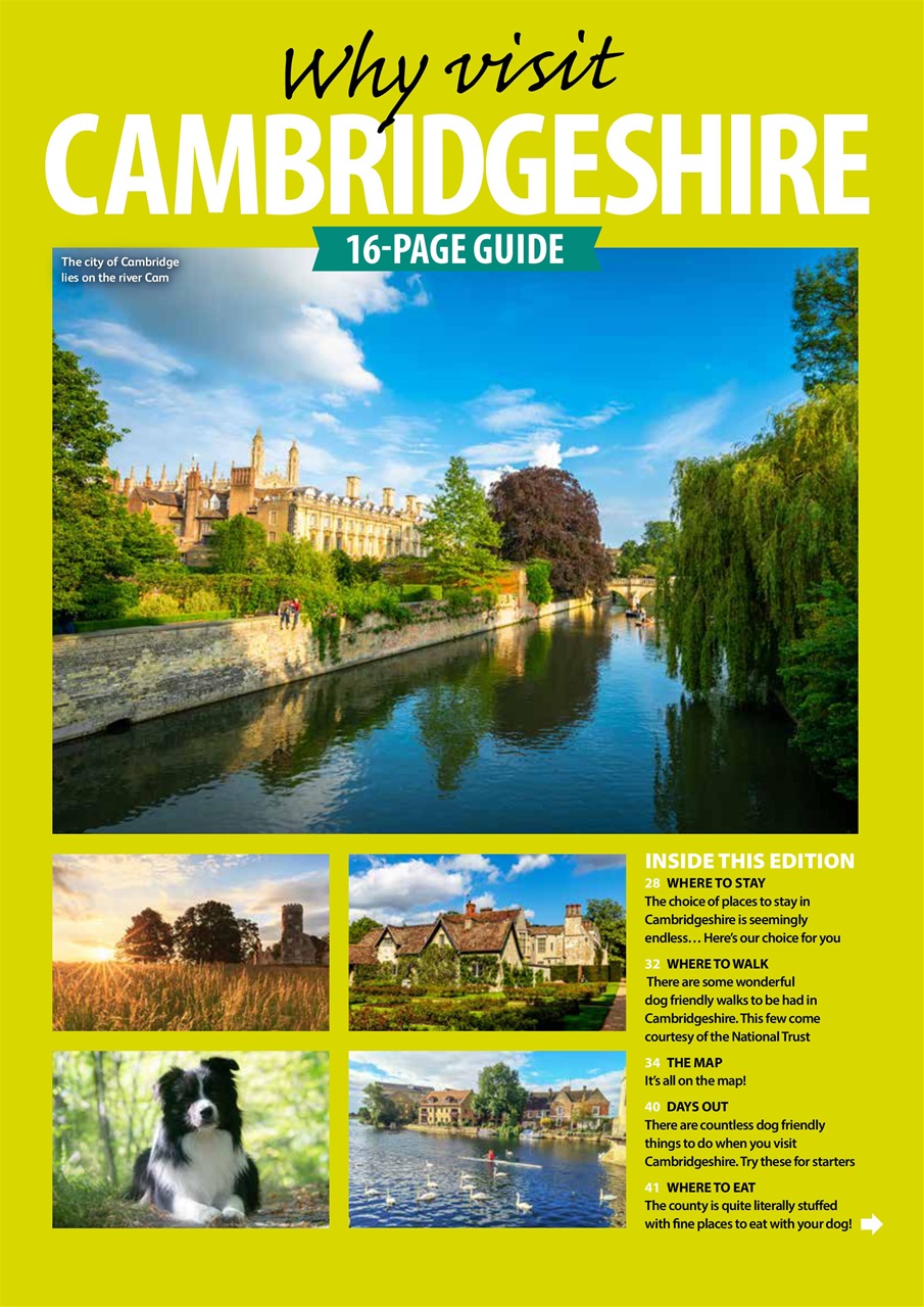 Dog Friendly Preview Pages