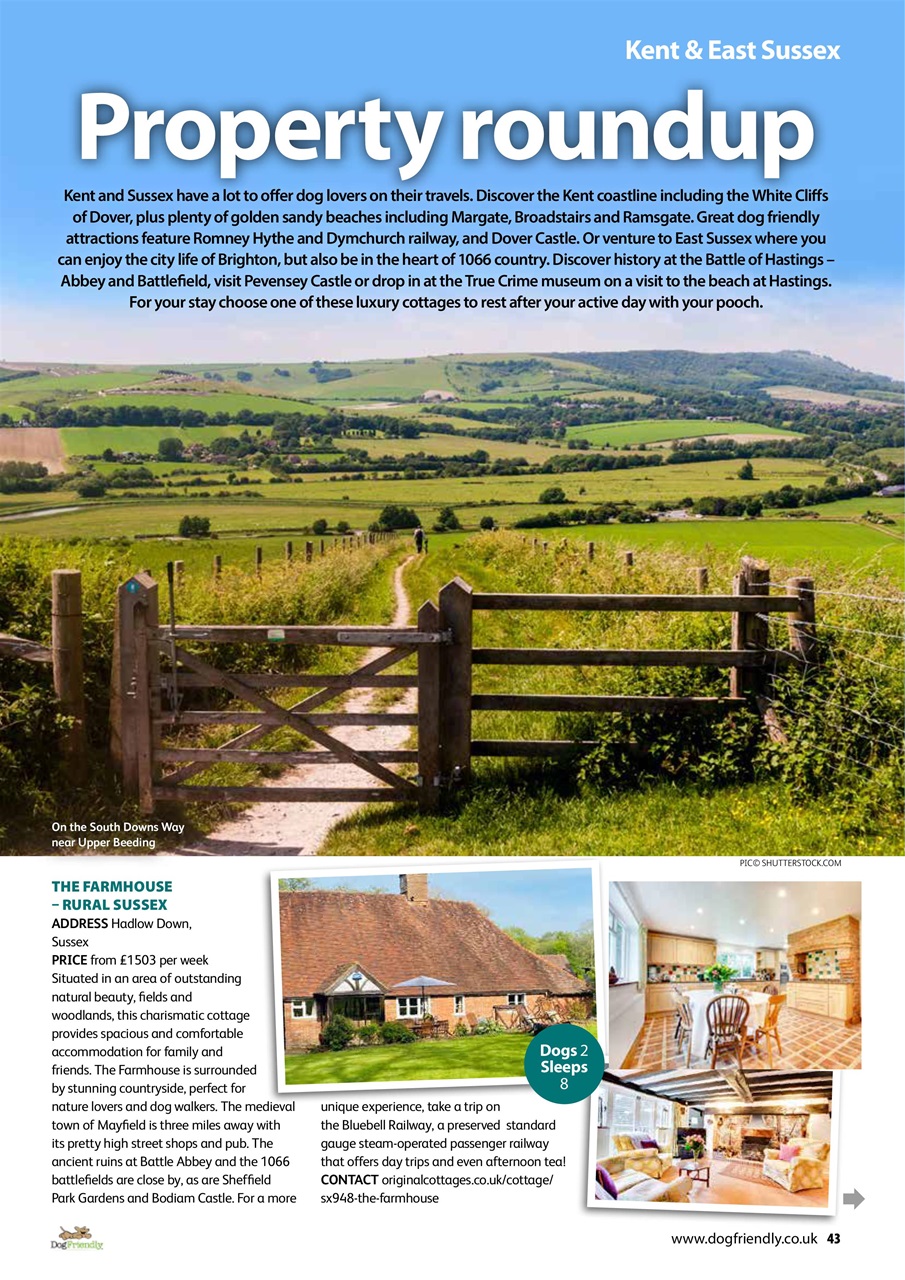 Dog Friendly Preview Pages