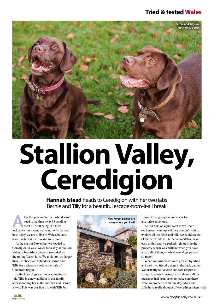 Dog Friendly Preview Pages