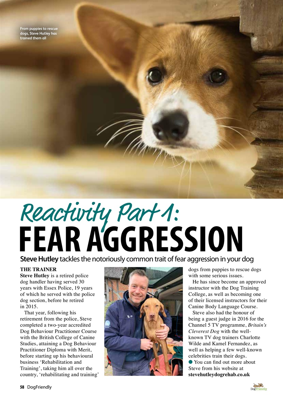 Dog Friendly Preview Pages