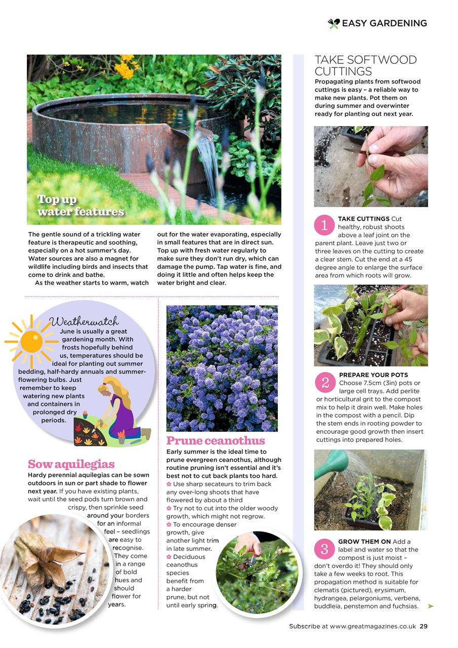Garden Answers Preview Pages