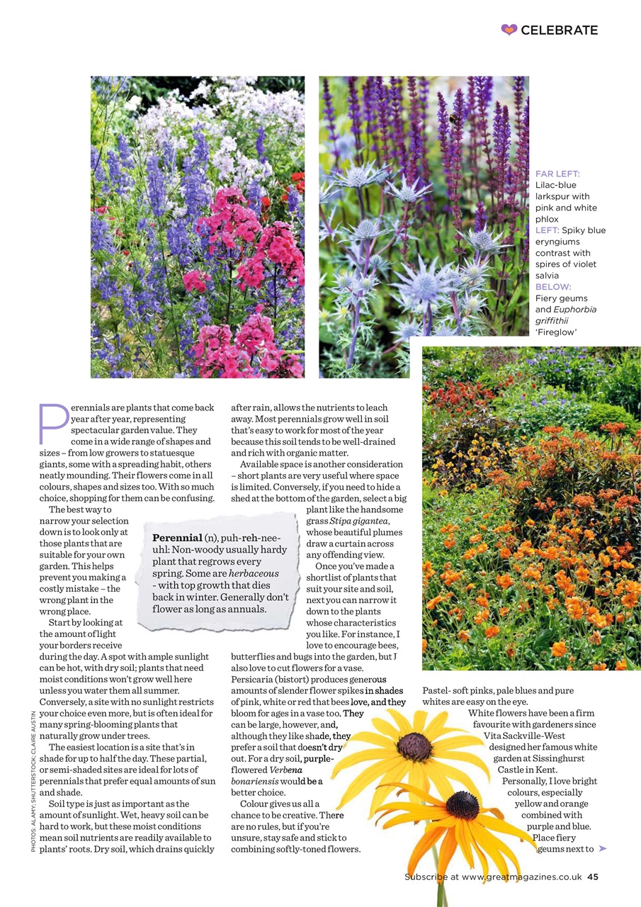 Garden Answers Preview Pages