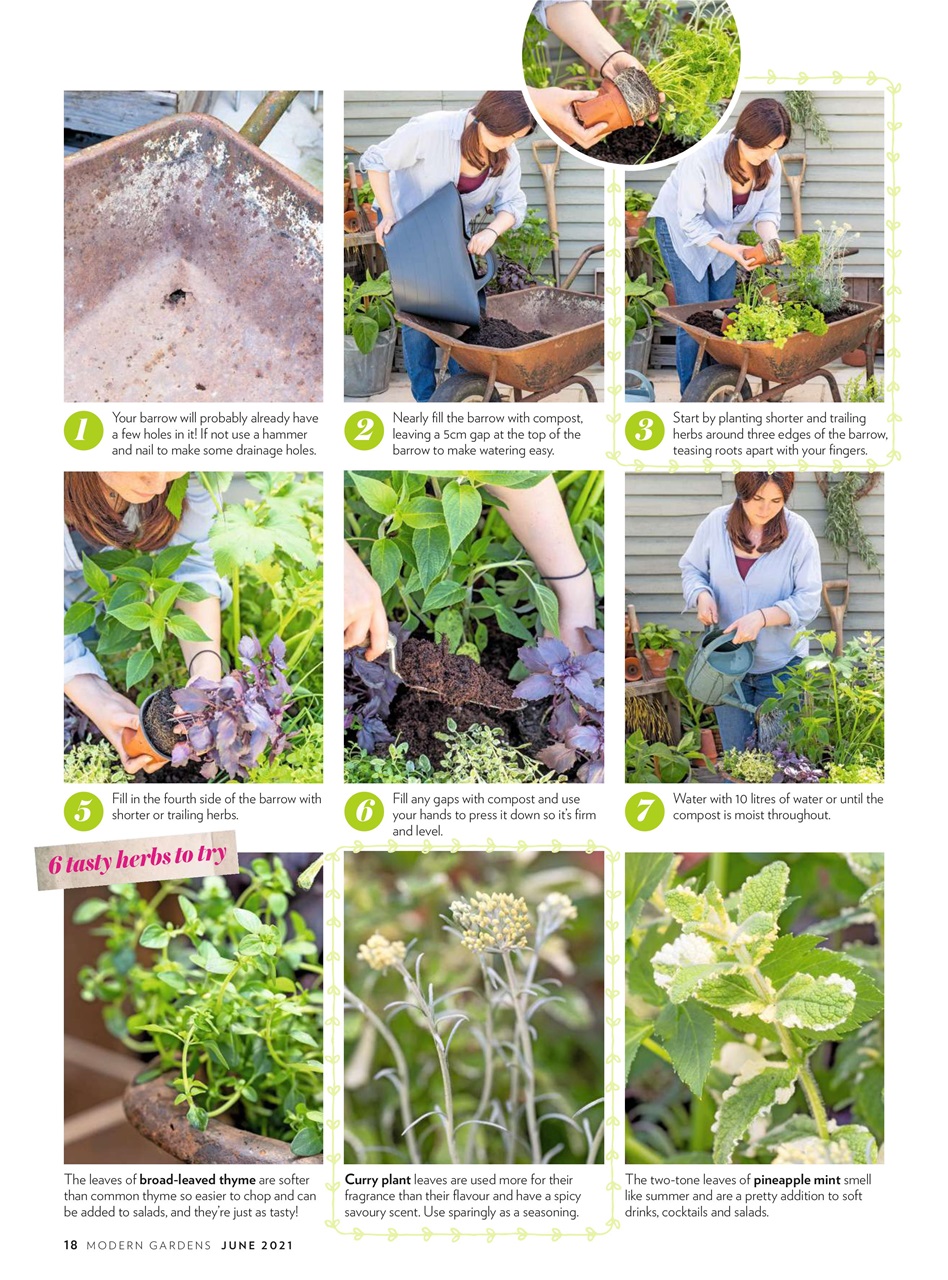 Modern Gardens Preview Pages
