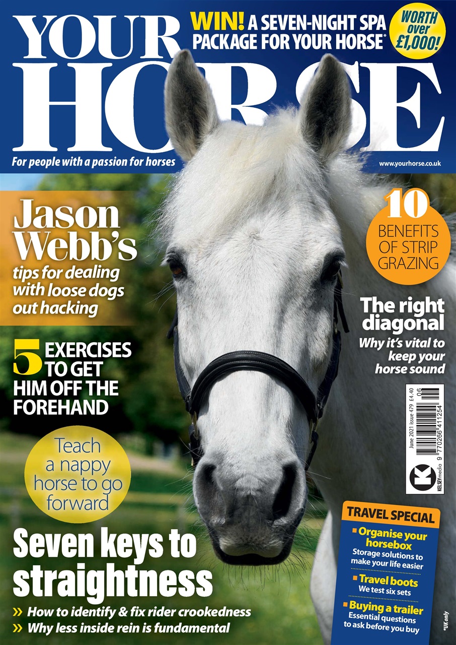 Your Horse Preview Pages