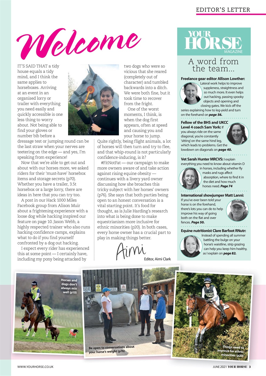 Your Horse Preview Pages