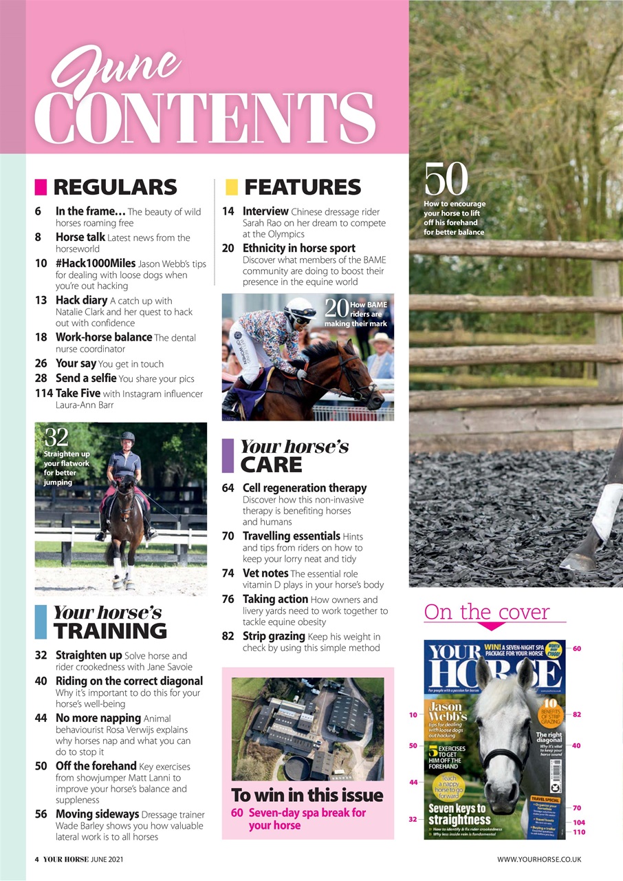 Your Horse Preview Pages