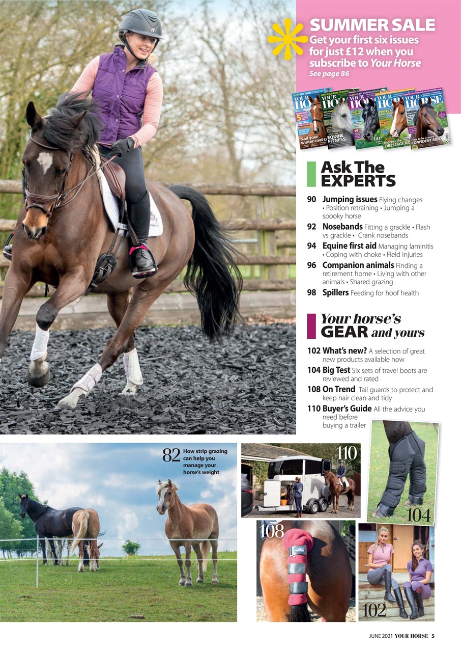 Your Horse Preview Pages